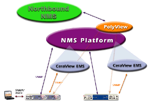 Ceraview Management Overview 1005